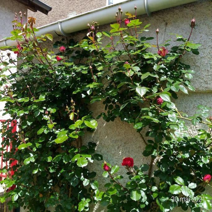 Maison Aux Portes Du Centre Historique De Dijon Avec 3 Chambres Et Garage エクステリア 写真